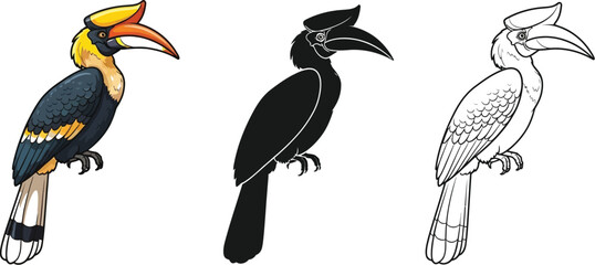 Obraz premium Great Hornbill bird illustration presented in color, solid silhouette, and outline styles for graphic design use.