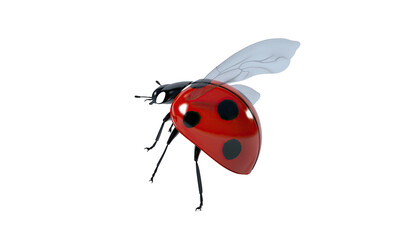 Obraz premium Vivid 3D render of a ladybug in flight against a stark black background