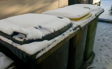 Three garbage bins covered with snow in a residential area, showcasing green, black, and yellow containers against a backdrop of a snowy pathway