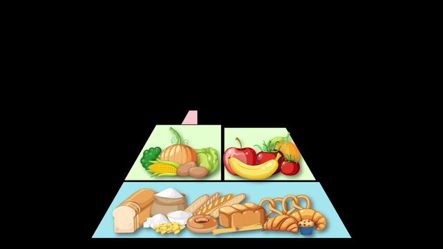 Step-by-Step Construction of a Food Group Pyramid Animation