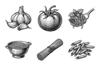 Italian pasta and ingredients collection in vintage hand drawn woodcut engraving style including spaghetti penne tomato garlic and basil