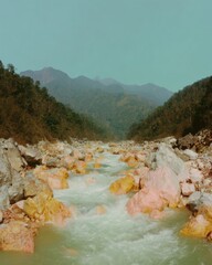 Scenic River Flowing Through Mountain Valley with Lush Forest and Rocky Banks Under a Clear Sky for Travel and Tourism Background with Copy Space