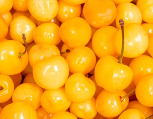 Full frame close-up of yellow cherries forming a dense fruit texture background. Smooth glossy cherry skin with natural color variation and visible stems, photographed from above. 