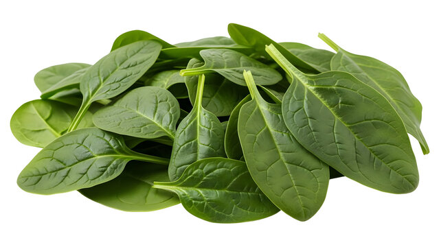 Fresh green spinach leaves bunch isolated on transparent background