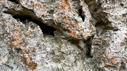 自然の造形が美しい岩のテクスチャ