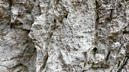 自然の造形が美しい岩のテクスチャ