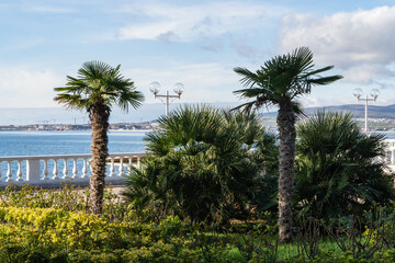 Obraz premium Scenic seaside promenade with tall palm trees, white balustrade, and modern street lamps, overlooking calm sea and distant hills under partly cloudy sky.