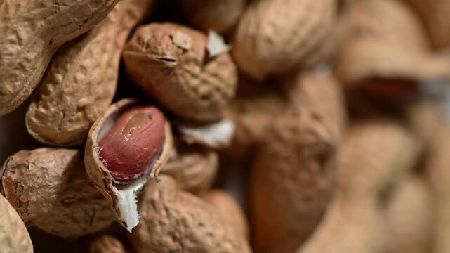 Extreme close-up of a single peanut pod spinning at high speed, with pieces of its dry, brittle shell fragmenting and flying off into the air against a stark black background. A high-speed photography