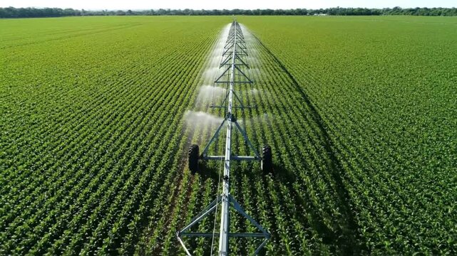 Aerial View of Automatic Center Pivot Irrigation System Watering Green Agricultural Crop Field - Industrial Farming and Water Management Technology