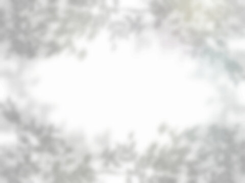 壁に木々の影か映るフレーム背景素材