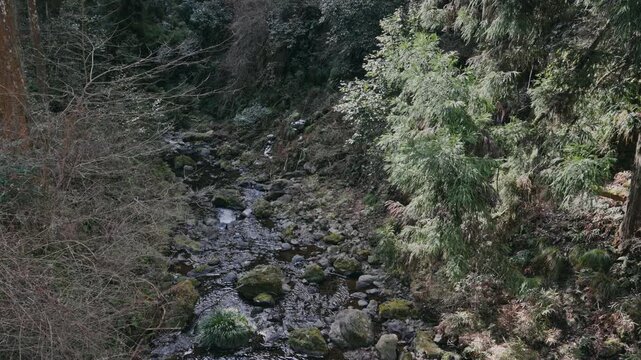 KYOTO KIFUNE
