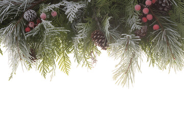 Frosted evergreen pine branches and cedar leaves decorated with red berries and pinecones against a bright white background for winter holiday seasonal border design