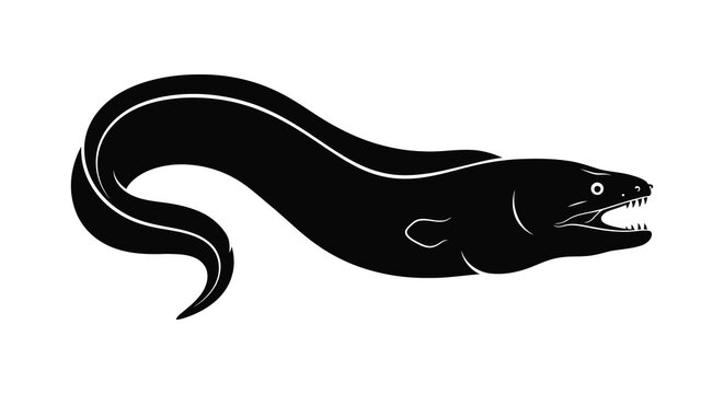 A sleek black moray eel illustration depicted in profile with open mouth ideal for design projects on transparent background silhouette