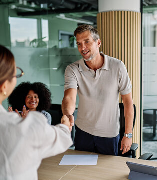 Portrait of  a young businessman and businesswoman shaking hands introducing each other during a meeting or conference in the office