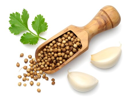 Realistic wooden scoop of coriander seed with sliced garlic on white background
