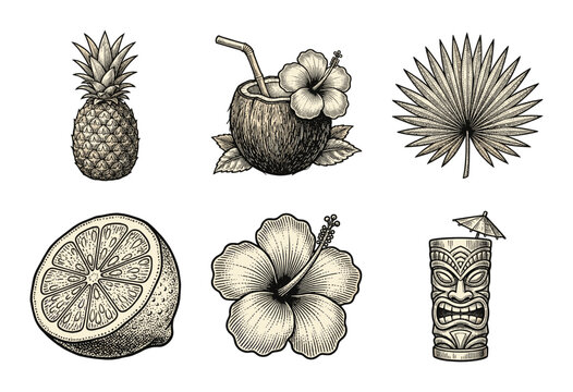 Tropical and tiki culture illustration set featuring pineapple, coconut cocktail, palm leaf, citrus fruit, hibiscus flower, and tribal totem pole in vintage woodcut style.