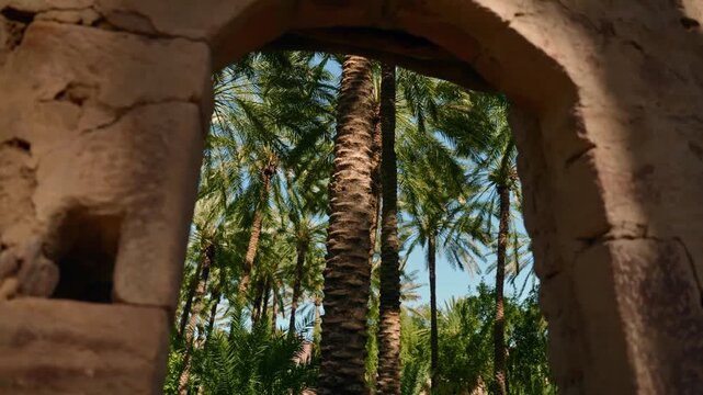 AlUla, Saudi Arabia &ndash; Peaceful Desert Oasis With Palm Groves, Green Gardens, Scenic Nature Landscapes
