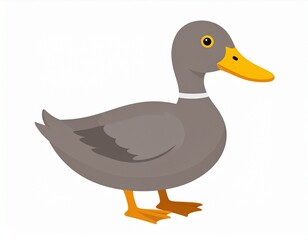 Cartoon illustration of a gray duck with orange feet and a yellow beak, isolated on white background.