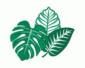 Tropical leaves silhouette vector illustration isolated on white background