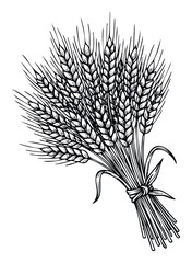 Fototapeta premium Hand drawn black and white wheat ears tied in a rustic bundle, perfect for agricultural themes, food packaging, or traditional farmrelated designs.