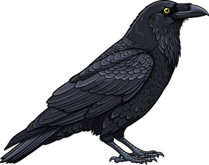 Fototapeta premium Realistic raven illustration with detailed feathers, curved beak, sharp claws, and piercing yellow eye for symbolic art, cultural design, digital projects, and creative works