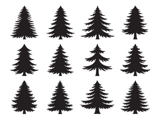 Evergreen tree outline for winter nature compositions