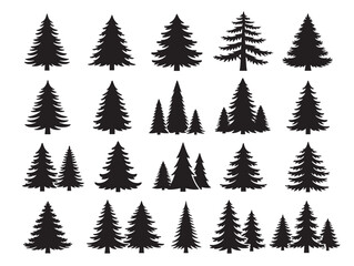 Obraz premium Evergreen tree silhouette with classic forest character