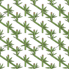 Fototapeta premium Seamless pattern of green bamboo stalks on white background.
