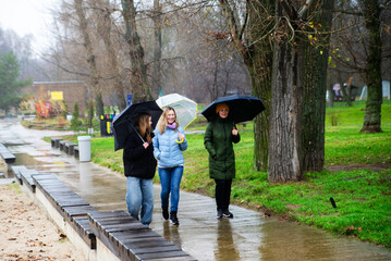 Three Women Walking with Umbrellas in a Rainy Park