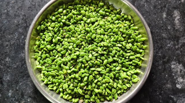 Top view of fresh green fenugreek seeds or small beans in a stainless steel bowl