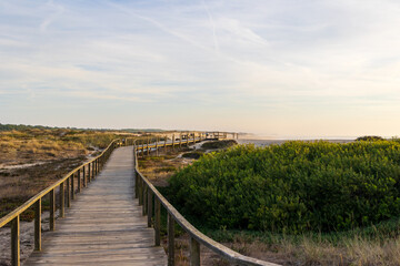 Obraz premium Long wooden boardwalk leading through coastal dunes at sunset, Portugal, Ovar – Furadouro, 14 October 2025