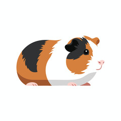 Guinea Pig with Sharp Claw