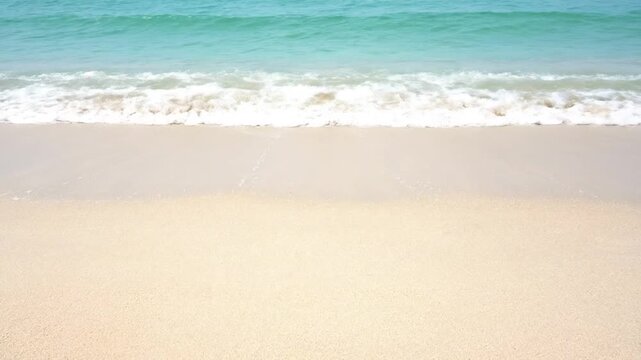 Serene beach with gentle waves and palm trees in bright sunlight on a peaceful day