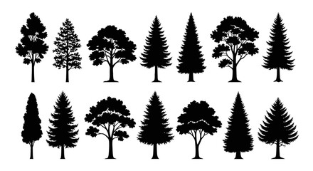 A collection of black silhouettes of various types of trees, including deciduous and coniferous species, arranged in two rows against a white background. © Kael