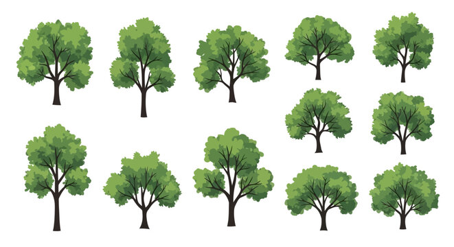 Collection of various green deciduous trees with detailed foliage and trunks, presented against a white background.