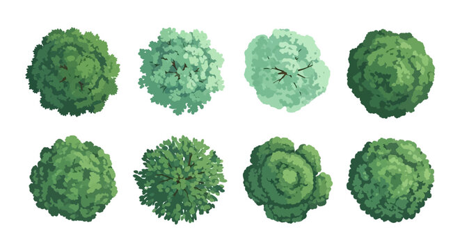 Top-down view of eight distinct green trees, showcasing varied textures and shapes for architectural or landscape design.