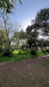Vertical video of sunny day in Parco Gordiani Rome with trees and empty walking path in urban park