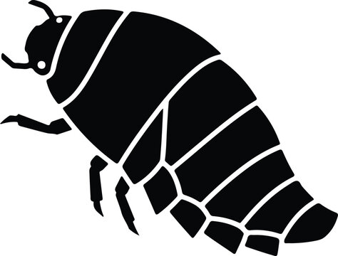 silhouette woodlouse insect isolated on white background for nature vector design