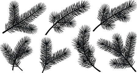 Black coniferous tree branch silhouette vector illustration, pine fir needle foliage design elements, natural evergreen forest art decoration patterns © Hafeza