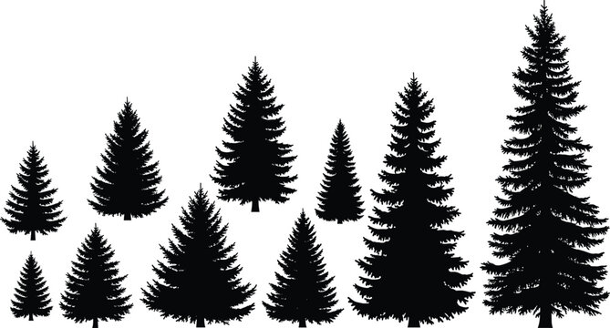 Black evergreen tree silhouette vector illustration collection, diverse forest pine shapes, natural woodland design elements, seasonal landscape art patterns