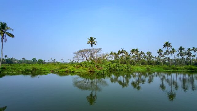 Serene Kerala backwaters landscape with lush coconut palms, calm waters and tranquil tropical landscape in Kerala, India