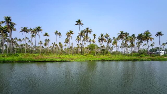 Serene Kerala backwaters landscape with lush coconut palms, calm waters and tranquil tropical landscape in Kerala, India