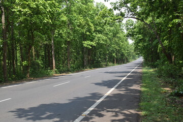 Obraz premium Empty Asphalt Road Through Green Forest Landscape