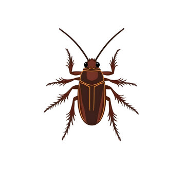 Snakefly illustration vector design 