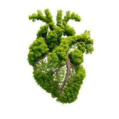 Green tree heart shape nature love eco environment growth sustainability top view