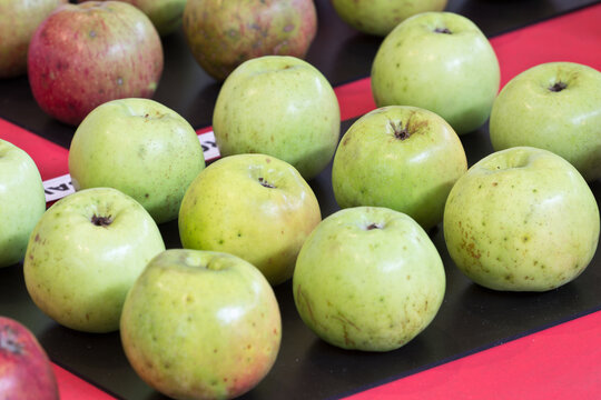XXXII apple Festival, in Villaviciosa, Asturias, Spain