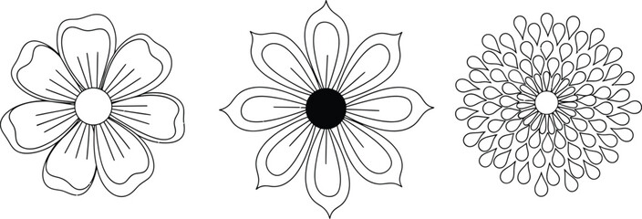 Decorative floral elements and petal patterns in outline style