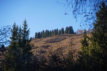Obraz premium Kaskelen gorge. Ile-Alatau National Nature Park. Mountainous area with different vegetation.