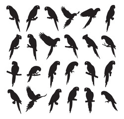 Bird Silhouette Vector, Flying Birds Clipart, Parrot Silhouette PNG, Black Bird Icons, Nature Wildlife Graphics, Bird Outline Design, Tropical Birds Set

