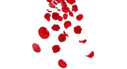 red hearts on white background